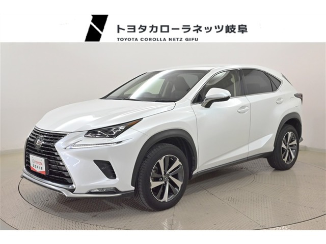 NX300 Iパッケージ