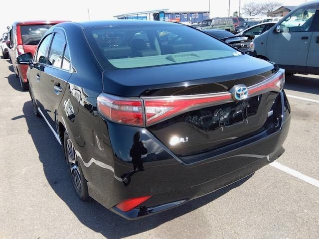 SAI2.4 G ヴィオラ