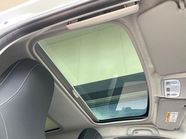 ���p�m���}�~�b�N�K���X���[�t:�唗�͂̃p�m���}���[�t�́A�㕔���Ȃɂ܂ő����Ă���A�J���I�ȋ�Ԃ����y���݂��������܂��B