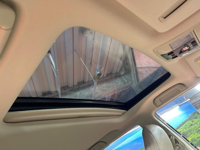 �y���[�����[�t�z�J���������Ղ�̊󏭑����A�T�����[�t����������Ă��܂�!�ԓ��ɖ�����������ꂽ��i�F���y���ވȊO�ɂ��A�ԓ��̋�C���ȒP�Ɋ��C�ł��ĉ��K�ł�!