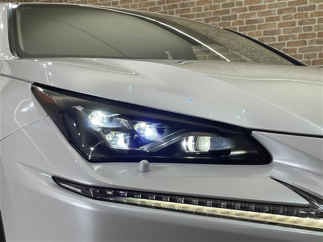 NX300h バージョンL