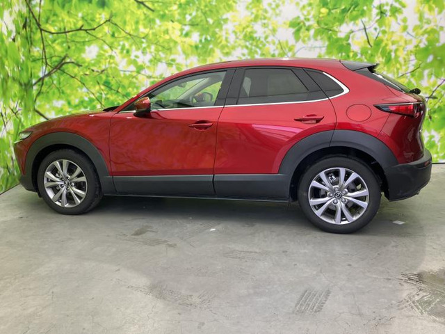 CX-301.8 XD プロアクティブ ツーリングセレクション