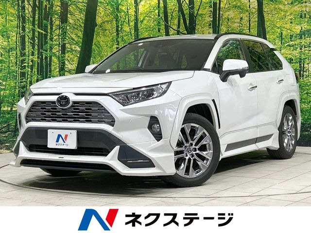 RAV42.0 G Zパッケージ 4WD