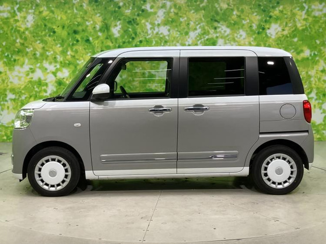 ムーヴキャンバスストライプス G