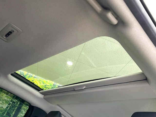 �y�T�����[�t�z�J���������Ղ�̊󏭑����A�T�����[�t����������Ă��܂�!�ԓ��ɖ�����������ꂽ��i�F���y���ވȊO�ɂ��A�ԓ��̋�C���ȒP�Ɋ��C�ł��ĉ��K�ł�!