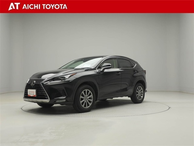 NX300 Iパッケージ