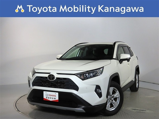 RAV42.0 X