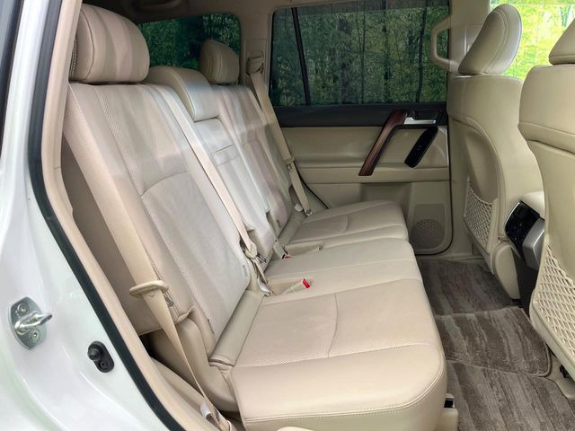 �㕔���Ȃ��C�ɂȂ�悤�ȃL�Y�E�����ւ��蓙�A�傫�ȃ_���[�W�͂Ȃ��A�ǍD�ȏ�Ԃł��B