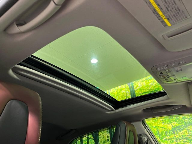 �y�T�����[�t�z�J���������Ղ�̊󏭑����A�T�����[�t����������Ă��܂�!�ԓ��ɖ�����������ꂽ��i�F���y���ވȊO�ɂ��A�ԓ��̋�C���ȒP�Ɋ��C�ł��ĉ��K�ł�!