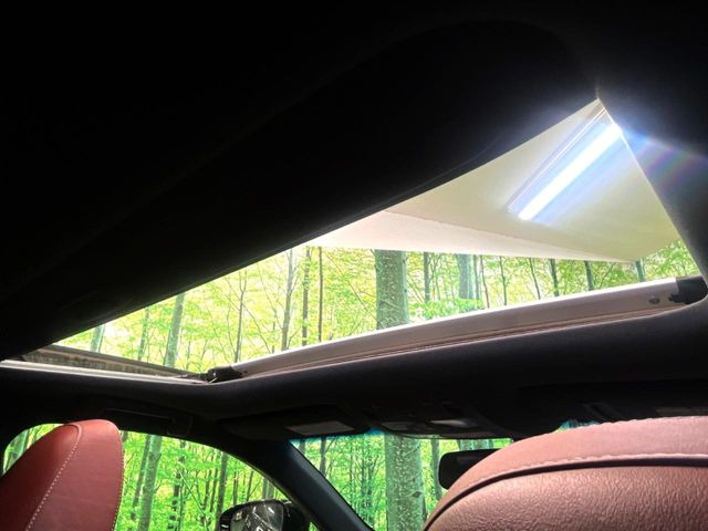 �y�T�����[�t�z�J���������Ղ�̊󏭑����A�T�����[�t����������Ă��܂�!�ԓ��ɖ�����������ꂽ��i�F���y���ވȊO�ɂ��A�ԓ��̋�C���ȒP�Ɋ��C�ł��ĉ��K�ł�!