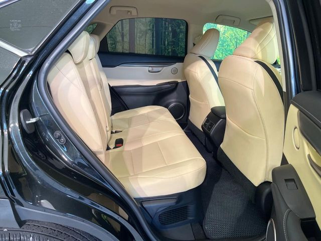 �㕔���Ȃ��C�ɂȂ�悤�ȃL�Y�E�����ւ��蓙�A�傫�ȃ_���[�W�͂Ȃ��A�ǍD�ȏ�Ԃł��B