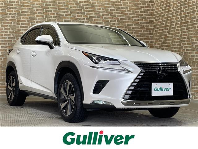 NX300h バージョンL