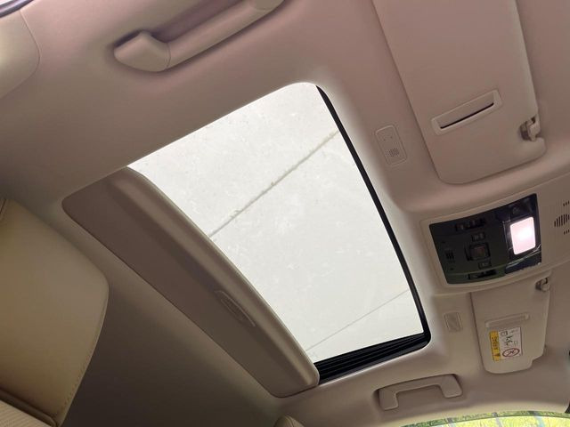 �y�T�����[�t�z�J���������Ղ�̊󏭑����A�T�����[�t����������Ă��܂�!�ԓ��ɖ�����������ꂽ��i�F���y���ވȊO�ɂ��A�ԓ��̋�C���ȒP�Ɋ��C�ł��ĉ��K�ł�!