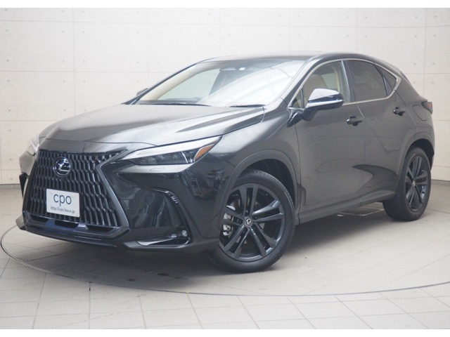 NX250 バージョンL