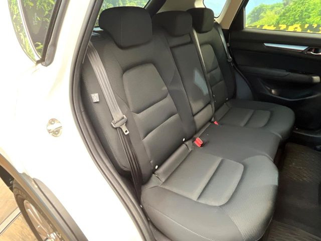 �㕔���Ȃ��C�ɂȂ�悤�ȃL�Y�E�����ւ��蓙�A�傫�ȃ_���[�W�͂Ȃ��A�ǍD�ȏ�Ԃł��B