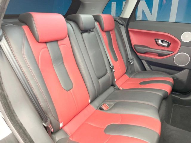 ���㕔���Ȃ��C�ɂȂ�悤�ȃL�Y�E�����ւ��蓙�A�傫�ȃ_���[�W�͂Ȃ��A�ǍD�ȏ�Ԃł��B