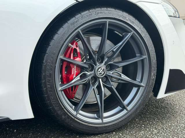 19�C���`�b���E�������_�[�N���^���b�N�z�C�[���E�X�[�v�����S���背�b�h�L�����p�[�B