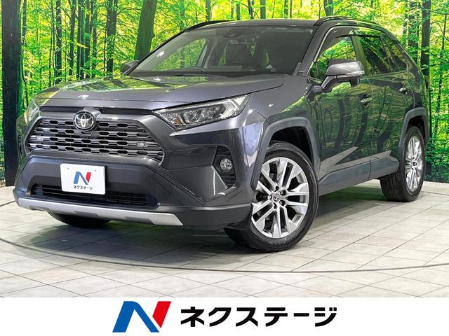 RAV4(トヨタ) 2.0 G Zパッケージ 4WD 中古車画像