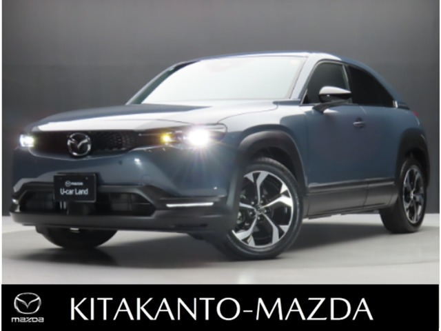 MX-302.0 ナチュラル モノトーン