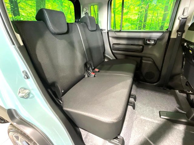 �㕔���Ȃ��C�ɂȂ�悤�ȃL�Y�E�����ւ��蓙�A�傫�ȃ_���[�W�͂Ȃ��A�ǍD�ȏ�Ԃł��B