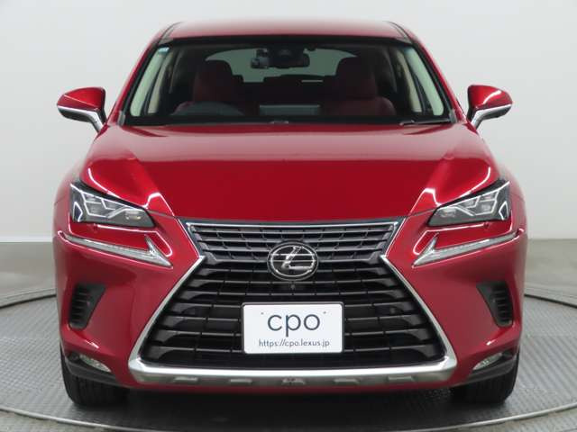 NX300h Iパッケージ 4WD