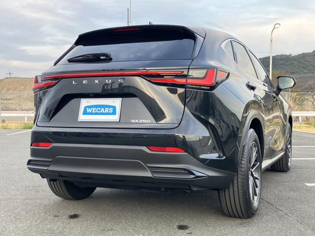 NX250