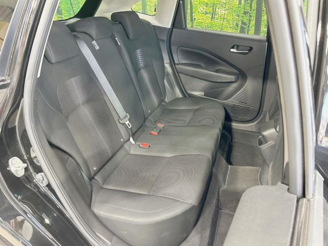 �㕔���Ȃ��C�ɂȂ�悤�ȃL�Y�E�����ւ��蓙�A�傫�ȃ_���[�W�͂Ȃ��A�ǍD�ȏ�Ԃł��B