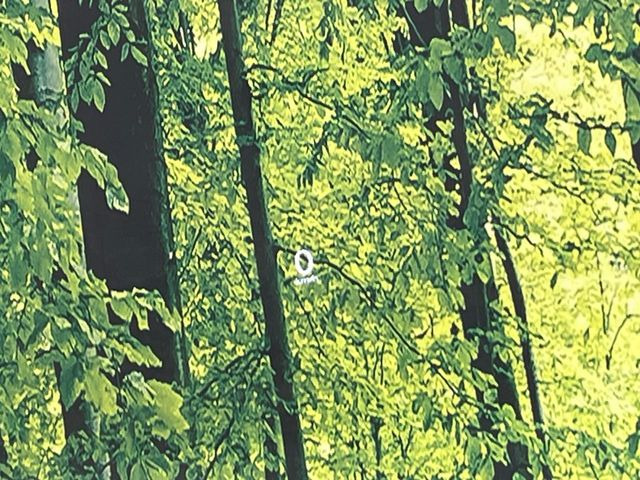 �y�w�b�h�A�b�v�f�B�X�v���C�z���݂̑��x�⑖�s�����f�W�^���\���ŉ^�]�ȑO���̃K���X�ɓ��e!�^�]���A�ڐ������炳���K�v�ȏ����m�F�ł���̂łƂ��Ă��֗��ň��S!