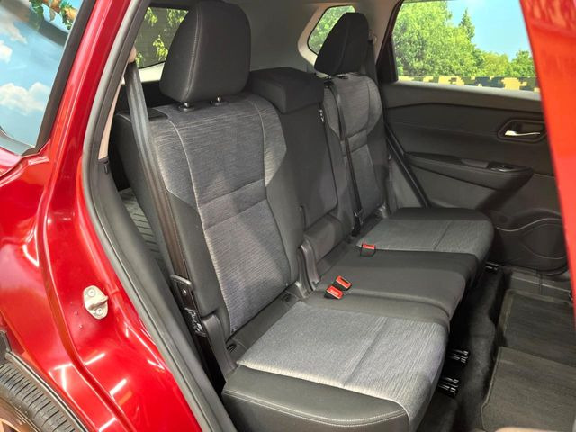 �㕔���Ȃ��C�ɂȂ�悤�ȃL�Y�E�����ւ��蓙�A�傫�ȃ_���[�W�͂Ȃ��A�ǍD�ȏ�Ԃł��B