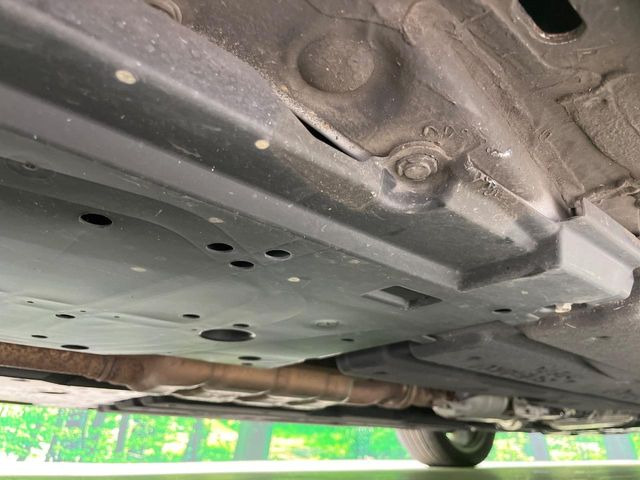 ����肪���ꂢ�Ȃ����ɁA�h�K���H�̎{�H���I�X�X���B�~��n��͂������A���ݕ��ɂ��Z���̕���A��Ń}�����E�E�B���^�[�X�|�[�c���������ɂ��D�]���������Ă���܂��B