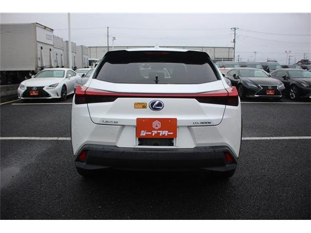 ���Ǝҗl�ւ̔̔��͂��f�肳���Ă��������܂��B�Ԍ������ԗ��̏ꍇ�́A�Ԍ����擾�������x�������z�ŕ\�����Ă���܂��B