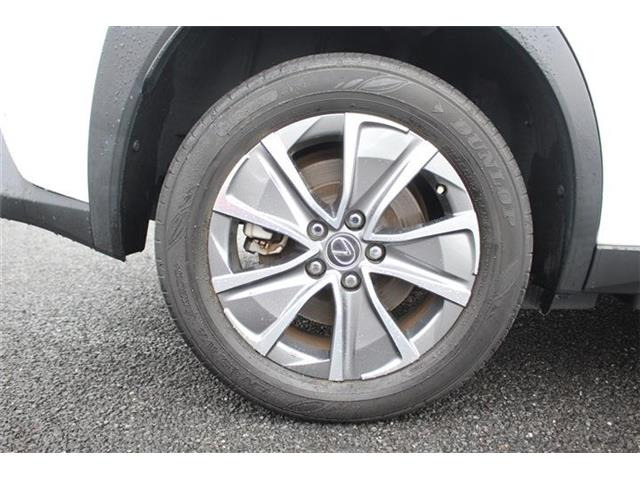 ���Ǝҗl�ւ̔̔��͂��f�肳���Ă��������܂��B�Ԍ������ԗ��̏ꍇ�́A�Ԍ����擾�������x�������z�ŕ\�����Ă���܂��B