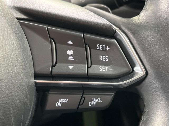 �y�}�c�_�E���[�_�[�N���[�Y�R���g���[���z�������H�ł̒��������s���y��!�����ő��x��ۂN���[�Y�R���g���[�����A�Փˌy���V�X�e���ƘA�g���A�O���̎ԗ������m���ĎԊԂ�ۂ悤�ɑ��x���߂��Ă���܂�!!