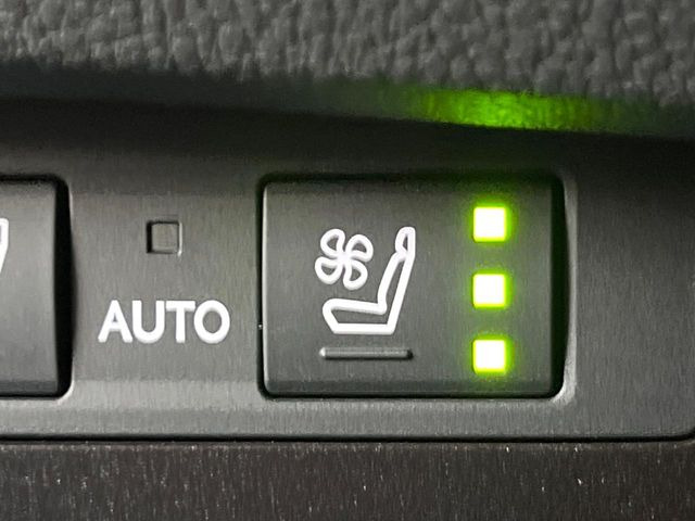 �y�V�[�g�x���`���[�V�����z�ď�͗��������ł��K��w���̔M�⃀����h���A�~�̓G�A�R�������������܂��ă|�J�|�J��!�G�߂��킸���K�ɉ߂����܂��B