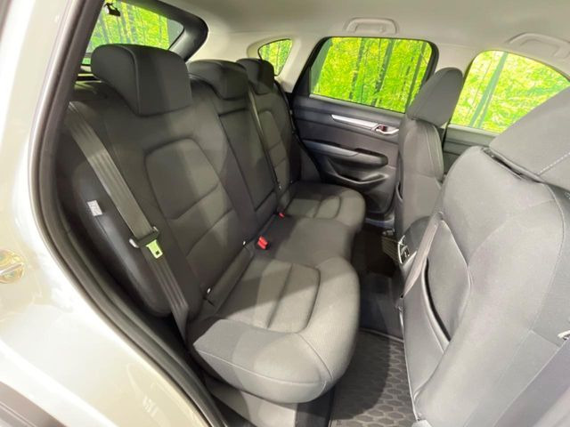 �㕔���Ȃ��C�ɂȂ�悤�ȃL�Y�E�����ւ��蓙�A�傫�ȃ_���[�W�͂Ȃ��A�ǍD�ȏ�Ԃł��B