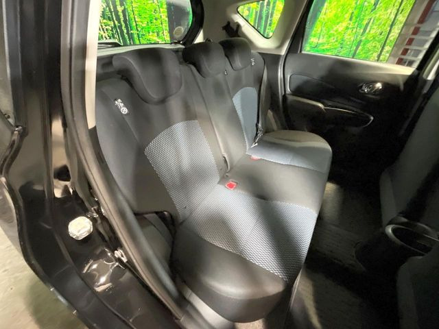 �㕔���Ȃ��C�ɂȂ�悤�ȃL�Y�E�����ւ��蓙�A�傫�ȃ_���[�W�͂Ȃ��A�ǍD�ȏ�Ԃł��B