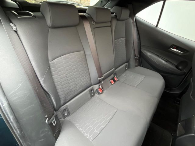 �㕔���Ȃ��C�ɂȂ�悤�ȃL�Y�E�����ւ��蓙�A�傫�ȃ_���[�W�͂Ȃ��A�ǍD�ȏ�Ԃł��B