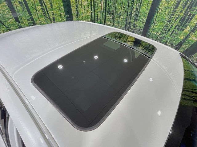 �y�T�����[�t�z�J���������Ղ�̊󏭑����A�T�����[�t����������Ă��܂�!�ԓ��ɖ�����������ꂽ��i�F���y���ވȊO�ɂ��A�ԓ��̋�C���ȒP�Ɋ��C�ł��ĉ��K�ł�!