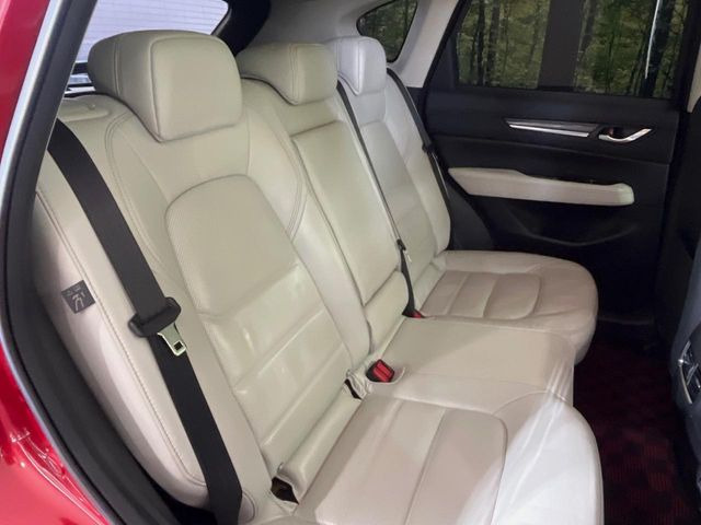 �㕔���Ȃ��C�ɂȂ�悤�ȃL�Y�E�����ւ��蓙�A�傫�ȃ_���[�W�͂Ȃ��A�ǍD�ȏ�Ԃł��B