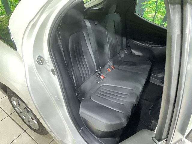 �㕔���Ȃ��C�ɂȂ�悤�ȃL�Y�E�����ւ��蓙�A�傫�ȃ_���[�W�͂Ȃ��A�ǍD�ȏ�Ԃł��B