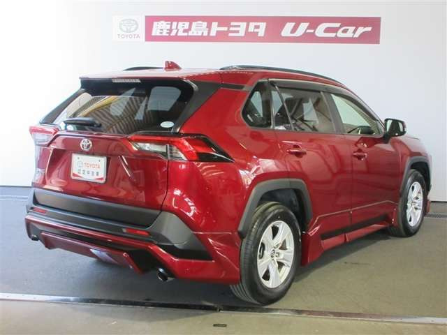 RAV42.0 X