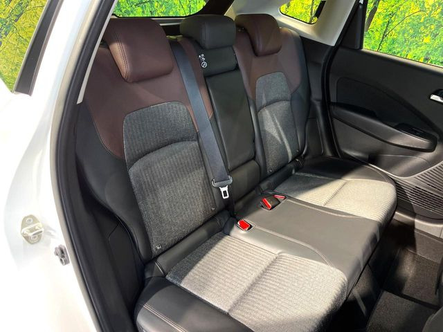 �㕔���Ȃ��C�ɂȂ�悤�ȃL�Y�E�����ւ��蓙�A�傫�ȃ_���[�W�͂Ȃ��A�ǍD�ȏ�Ԃł��B