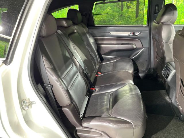 �㕔���Ȃ��C�ɂȂ�悤�ȃL�Y�E�����ւ��蓙�A�傫�ȃ_���[�W�͂Ȃ��A�ǍD�ȏ�Ԃł��B