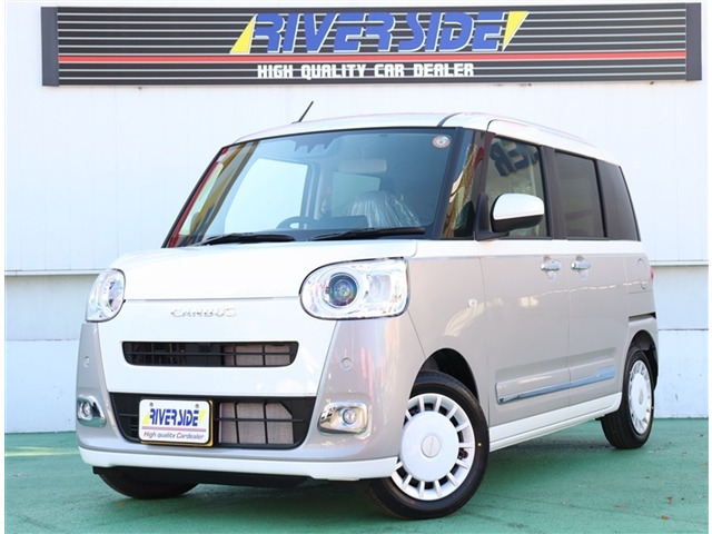 ムーヴキャンバスストライプス G