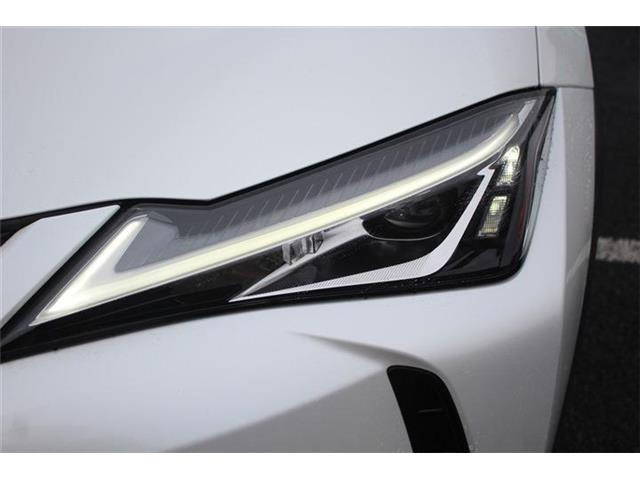 ���Ǝҗl�ւ̔̔��͂��f�肳���Ă��������܂��B�Ԍ������ԗ��̏ꍇ�́A�Ԍ����擾�������x�������z�ŕ\�����Ă���܂��B