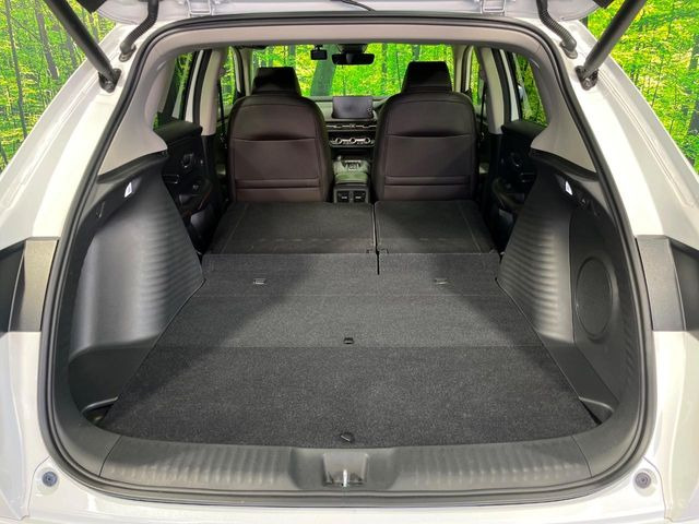 ���i�̂���������ʋ΁A���}���ɏ\���ȉ׎��X�y�[�X���m�ۂ��Ă���܂��B�Z�J���h�V�[�g��|���ƁA�傫�ȉו��̐ύڂ��\�ł���