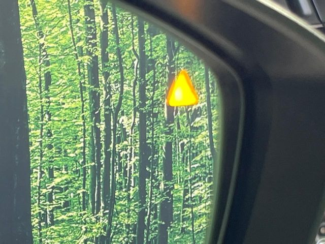 �y�u���C���h�X�|�b�g���j�^�����O�z���s���A�h�A�~���[�̎��p�ɂȂ�₷���ӏ��Ɍ㑱�Ԃ��ڋ߂���ƃT�C�h�~���[�t�߂Ɍx����\���A�h���C�o�[�ɒ��ӊ��N�����Ă���܂��B