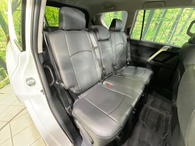 �㕔���Ȃ��C�ɂȂ�悤�ȃL�Y�E�����ւ��蓙�A�傫�ȃ_���[�W�͂Ȃ��A�ǍD�ȏ�Ԃł��B