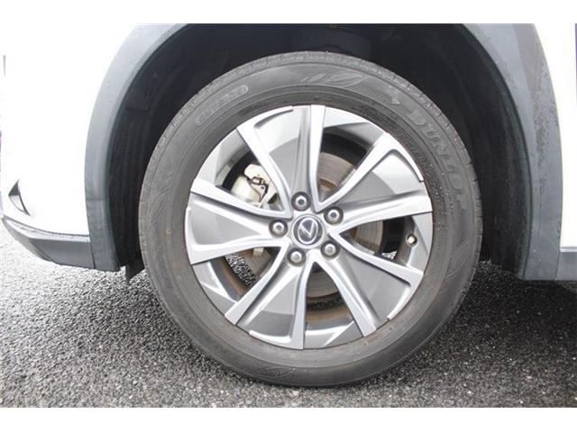 ���Ǝҗl�ւ̔̔��͂��f�肳���Ă��������܂��B�Ԍ������ԗ��̏ꍇ�́A�Ԍ����擾�������x�������z�ŕ\�����Ă���܂��B