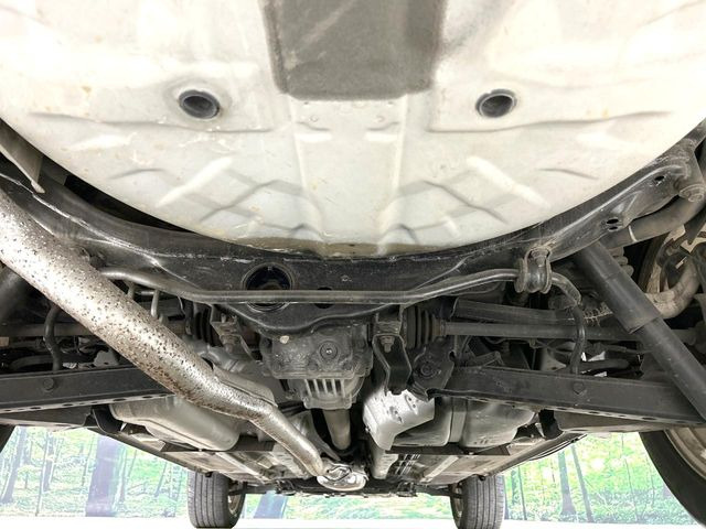 ����肪���ꂢ�Ȃ����ɁA�h�K���H�̎{�H���I�X�X���B�~��n��͂������A���ݕ��ɂ��Z���̕���A��Ń}�����E�E�B���^�[�X�|�[�c���������ɑ�ύD�]���������Ă���܂��B